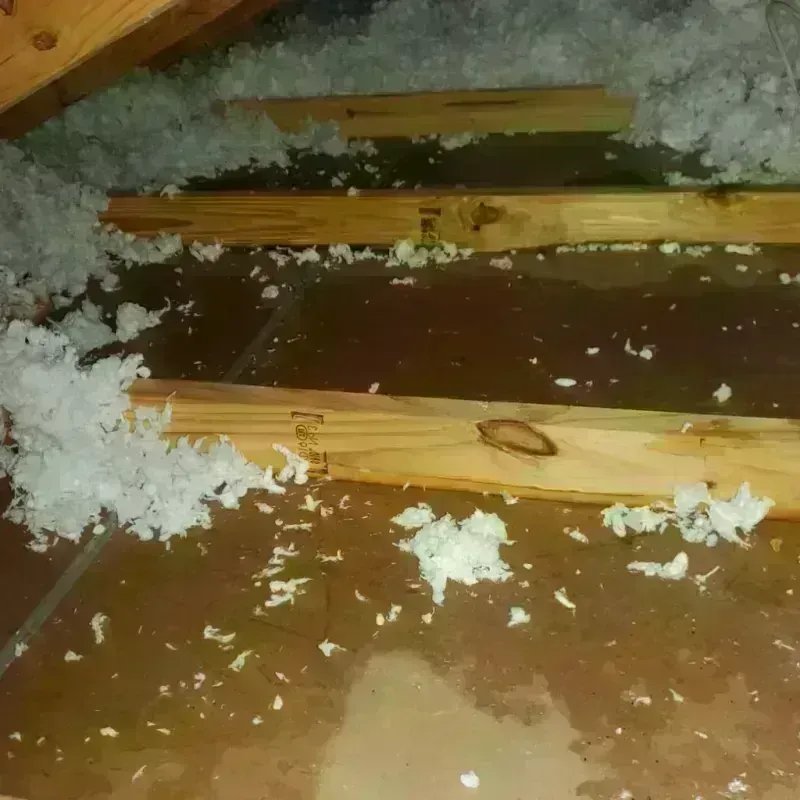 Attic Water Damage in Lake Junaluska, NC